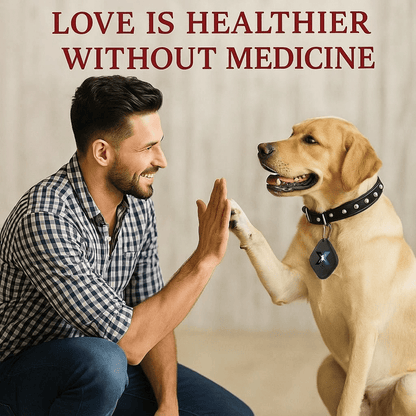 Don't Let Pests Put Your Pets and Family's Health At Risk